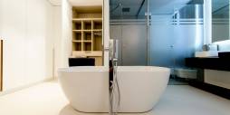 Modern bathroom with designer bathtub