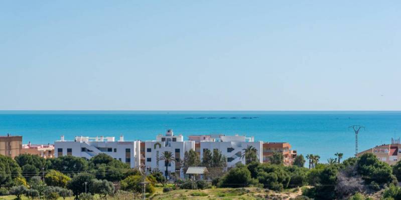 Ontdek Guardamar del Segura, een paradijselijke plek waar u graag zult wonen